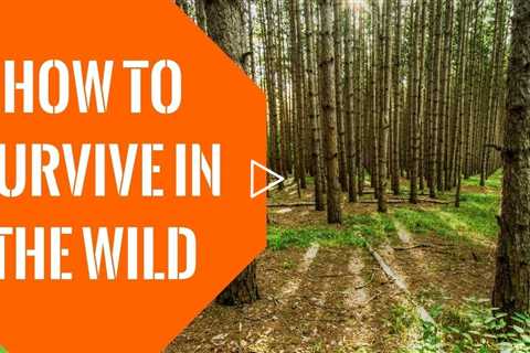 How To Survive In The Wild: Learn The Key To Always Survive In The Wild