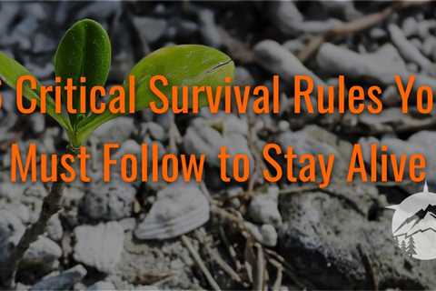 6 Critical Survival Rules You Must Follow to Stay Alive