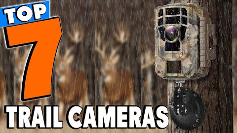 Top 5 Best Trail Cameras Review In 2022