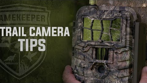 Trail Camera Tips