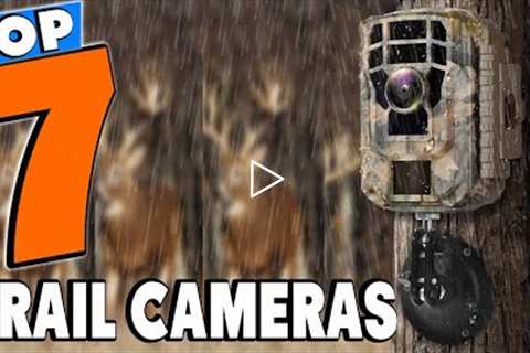 Top 5 Best Trail Cameras Review In 2022