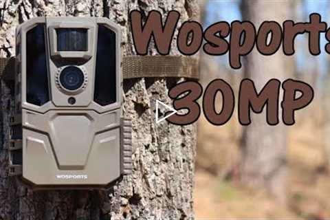 Wosports 30MP Trail Camera: Field Test and Review!!