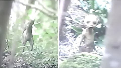 This Hiker Makes A Chilling Discovery After Encountering This While Exploring An Abandoned Trail