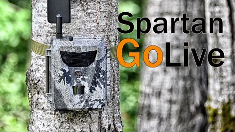 Spartan GoLive Cellular Trail Camera Review