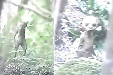 This Hiker Makes A Chilling Discovery After Encountering This While Exploring An Abandoned Trail