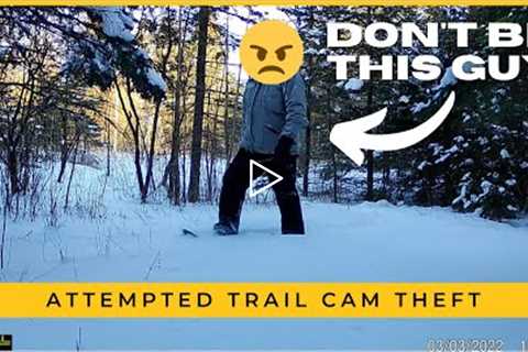 Trail Cam Thief Caught in the Act 🤬
