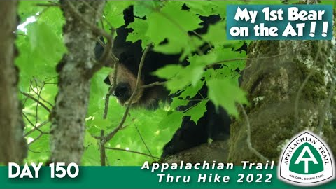 AT Thru Hike Day 150 - My First Bear On Trail!!