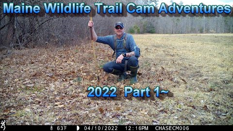 Maine Wildlife Trail Cam Adventures - 2022 Part 1