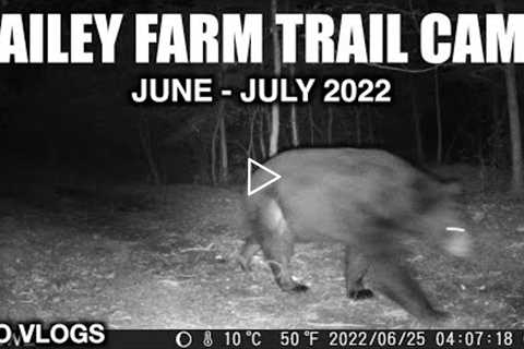 Bailey Farm Trail Cams June - July 2022