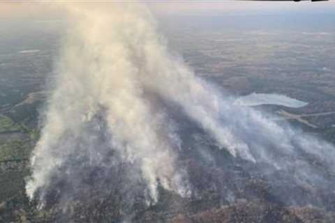 13 Evacuate from Michigan Hunting Camp as Wildfire Burns Thousands of Acres