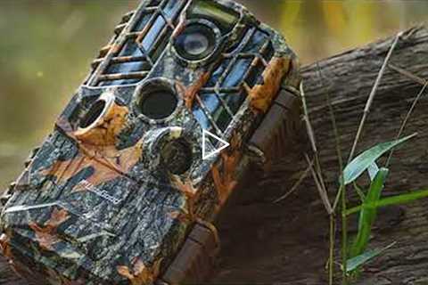 Top 10 Best Wireless Trail Camera On Amazon