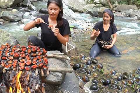 Survival in forest: Found a lot snail near river - Snails grilled spicy chili So delicious food