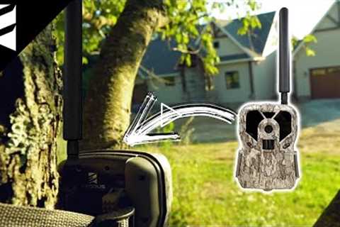 How To Use A Cellular Trail Camera For Home Security!