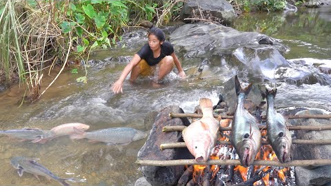 Catch a lot fish at waterfall - Fish roasted with Chili sauce for dinner - Survival skills in forest