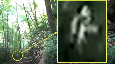 Strange White Being - Trail Cam Footage - Bear Encounter