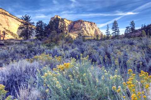 Camping World’s Guide to RVing Great Basin National Park