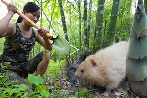Trace and Dig - Caught a Rare White Bamboo Rat/ Bushcraft & Survival Part 9