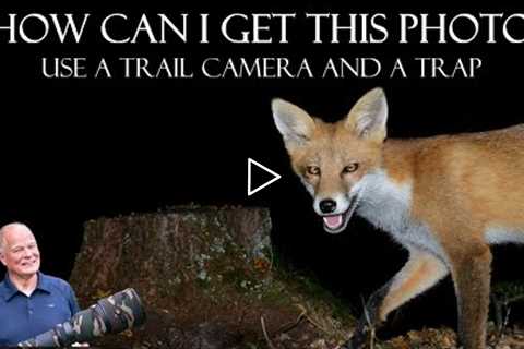 WILDLIFE PHOTOGRAPHY -  TRAIL CAMERA - I´m testing the Coolife PH770-8D to get better photo/film.