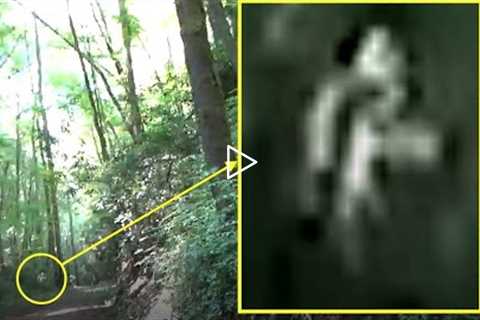 Strange White Being - Trail Cam Footage - Bear Encounter