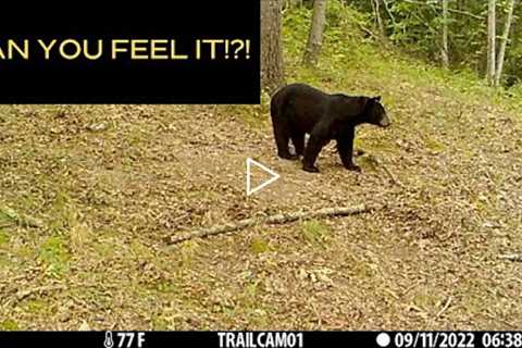 The Best Trail Camera 2022 Tuesdays! (EP 5)Fall Is Near!
