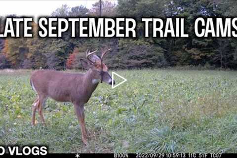 Bailey Farm Trail Cams Late September 2022