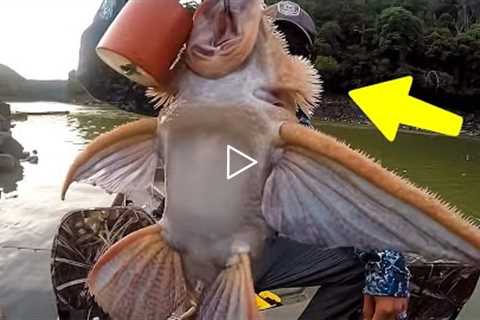 Lucky Fisherman Caught Something Incredible