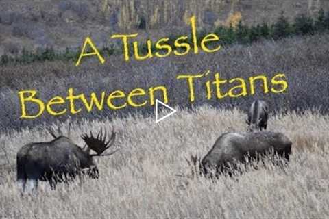 A Tussle Between Titans