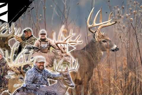 Should You Deer Hunt Mornings In October?