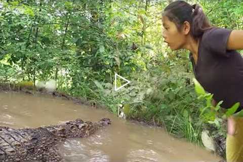 Adventure solo in flood forest - Catch a big crocodile and Pick duck egg for food in jungle