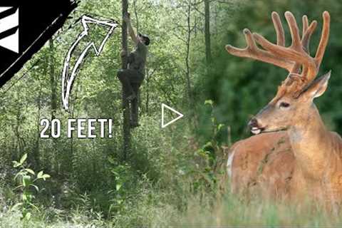 How High Is Too High When Hanging Trail Cameras?