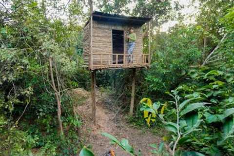 Building Survival Bushcraft Treehouse Shelter, Bushcraft Shelter Camping In Rainy Season