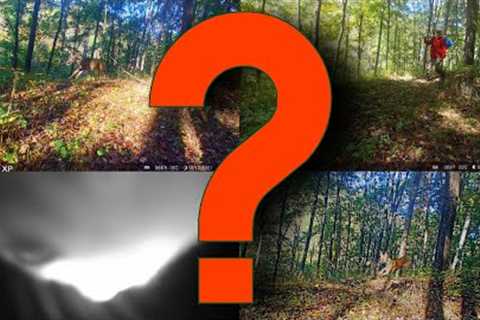 Mysterious Public Land Trail Cam Pics?!? Series of Unexplainable Photos from my Cell Camera!!