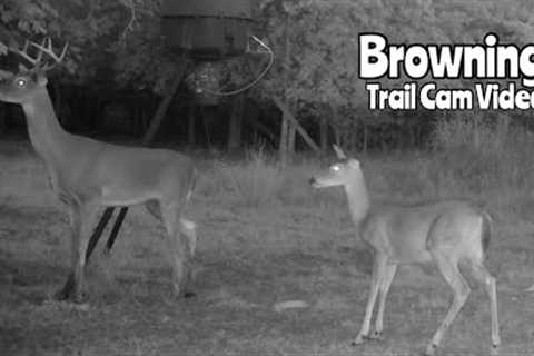 Browning Recon Force Advantage Trail Camera Video: Sept. 21-26, 2022