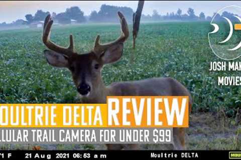 Moultrie Delta Cellular Trail camera Three Month Review