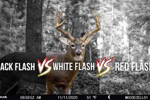The Differences in Trail Camera Flash Types