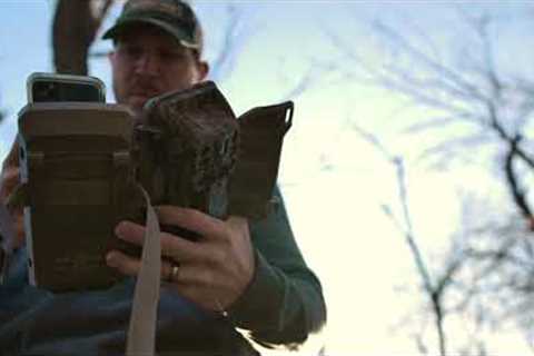 How Do Cellular Trail Cameras Work