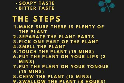 The Universal Edibility Test | How to Test if Any Plant is Edible