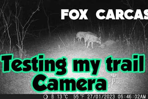Testing My Trail Camera || Camera Traping