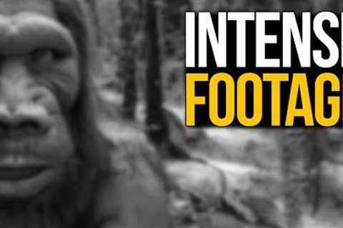 Insane Trail Cam Footage No One Was Expecting