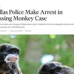 Dallas Zoo Investigates Disappearance of Rare Monkeys, Arrest Made in Connection