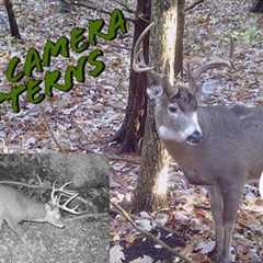 How To Evaluate Trail Camera Photos For Deer Hunting