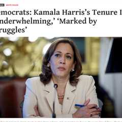 Kamala Harris: A Political Liability or Vice Presidential Asset?