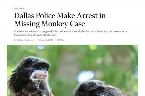 Dallas Zoo Investigates Disappearance of Rare Monkeys, Arrest Made in Connection