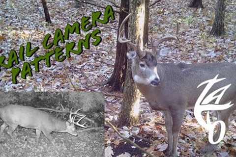 How To Evaluate Trail Camera Photos For Deer Hunting