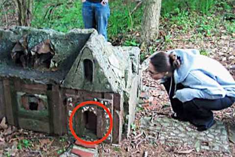 Woman Finds Tiny House In The Woods, Your Mouth Drops Open At Realization What''s In It