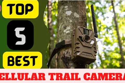 BEST CELLULAR TRAIL CAMERA [ REVIEWS ] 2023