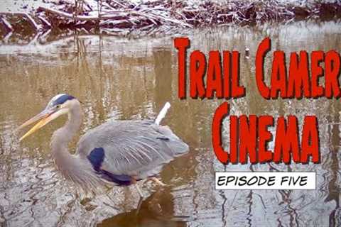 Trail Camera Cinema - Episode Five