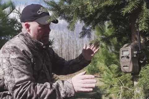 3 Tips for Better Trail Camera Placement