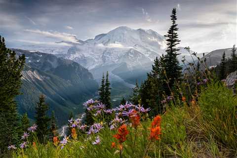 Camping World’s Guide to RVing Mount Rainier National Park
