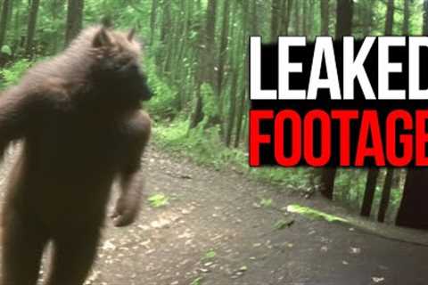 Unbelievable Trail Cam Captures That Shocked the WORLD